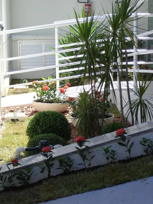 Denize Calmon, imagem do acervo 2