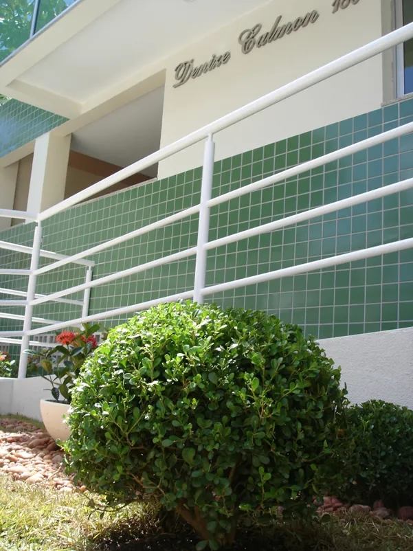Denize Calmon, imagem do acervo 3